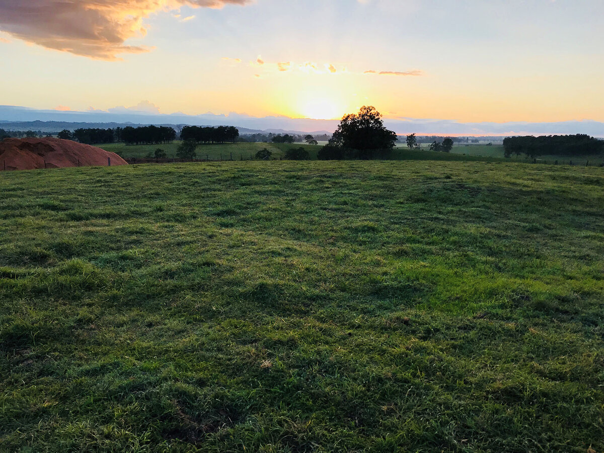 Green countryside at sunset